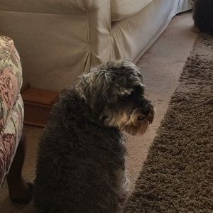 Meet your Posher, Sandra